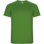 Imola kortärmad funktions T-shirt för barn Ormbunkegrön