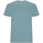 Stafford kortärmad T-shirt för barn Dusty Blue