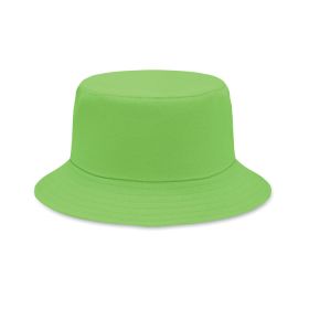 MONTI lime