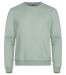 Miami Roundneck Sage green